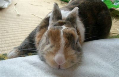 �����ƂȂłȂ�