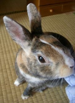 �ɂ�����