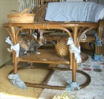 �|�R�x�b�h