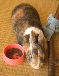 ���ׂĂ�������炭