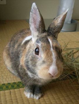 ��������낦��