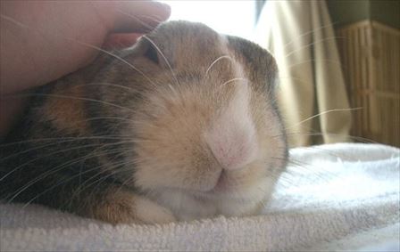 ���̂ȂłȂ�