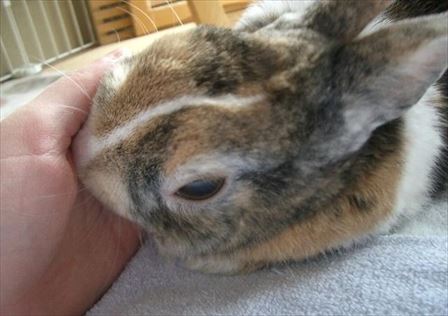 ���̂ȂłȂ�