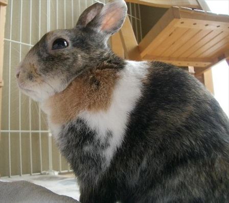 �ȂłȂł̎���Ƃ߂�ƁA�͂��ƌx������