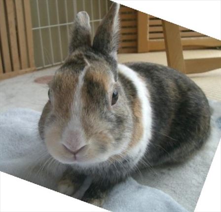 �܂��ȂłȂł�v��