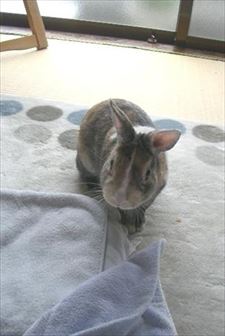 �z�c��D��