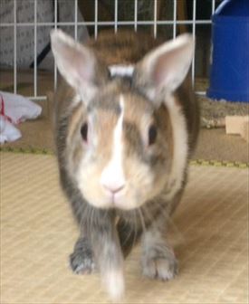 �����Ă���