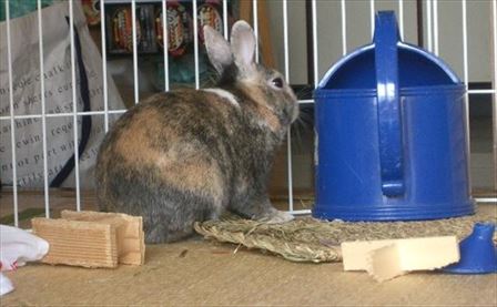 �䏊�̂ق����`�F�b�N�E�ɂ��ł�i�����b�N�X���Ă�j