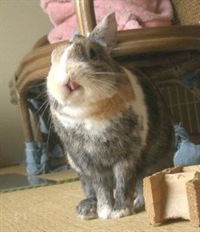 �x������