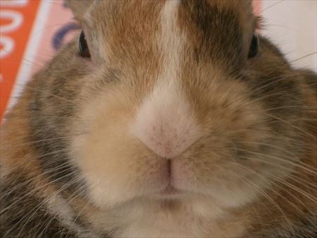 �ɂ�����������