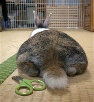 �Ђ�؂�����