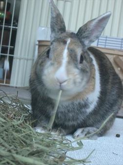 ��������H�ׂ�