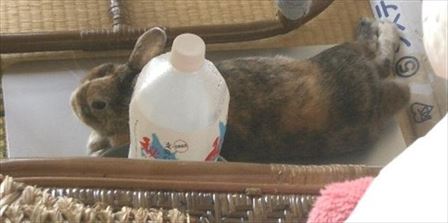 9���̎c���͐^�Ă�������