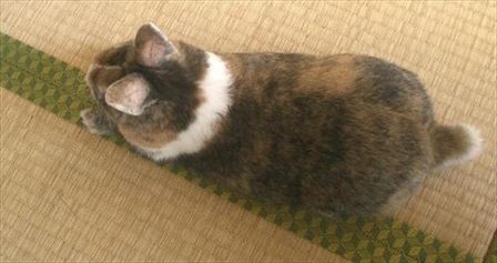 ��̐��ɂ�����