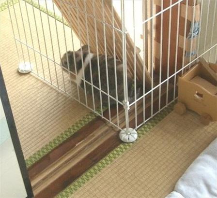 �P�[�W�����H