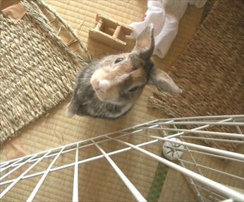 �����オ��