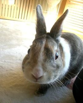 �̂�������