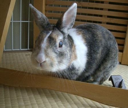 �T�����[������