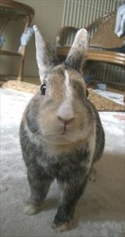 �����܂�