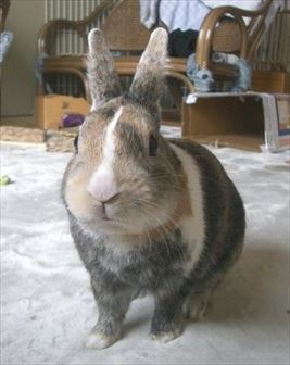 �����܂�