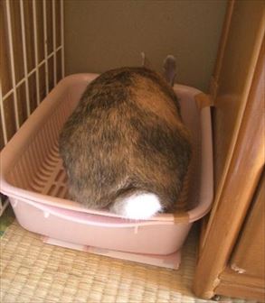 �ɂ����`�F�b�N