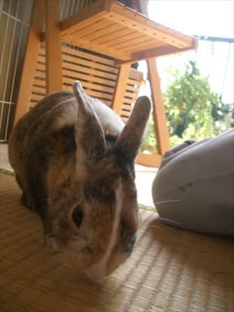 �x�݂̓��͊y������