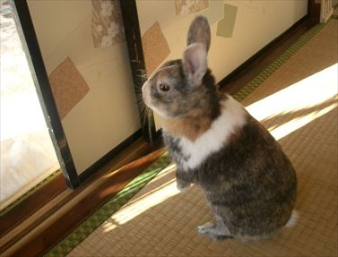 �Q������|�R���������Ă�