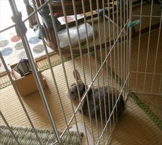 �T�[�N���̂Ƃ���ő҂��Ă���