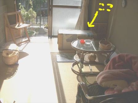 �ǂ��ł��傤