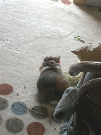 �ނ����������Ă��Ă������������������Ă���