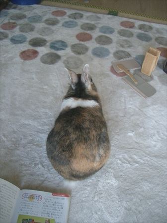 ������܂�Ƃ������p