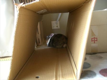 �����ł�