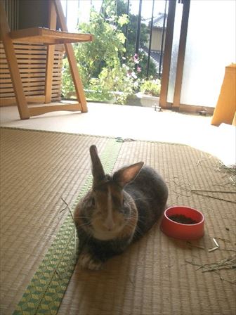 ���Ȃ������ς��Ŗ���