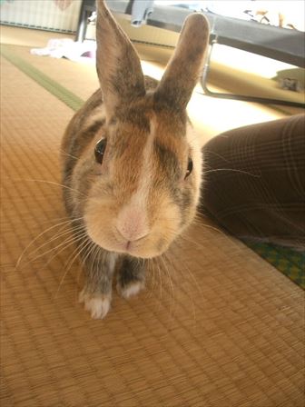 �J�����H