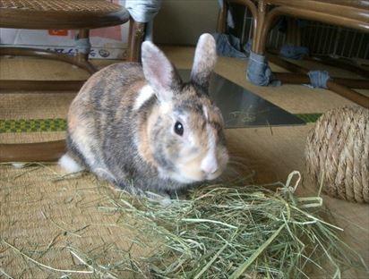 ����������������