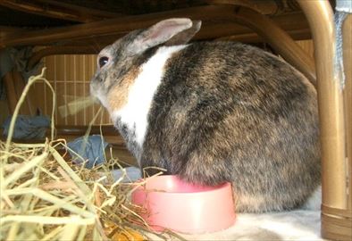 �\�t�@�̉��ň��S���ĐH�ׂ�